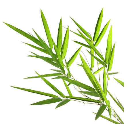 Стимулює вироблення колагену, робить шкіру пружною й еластичною, зволожує, зміцнює бар’єр і знімає запалення.