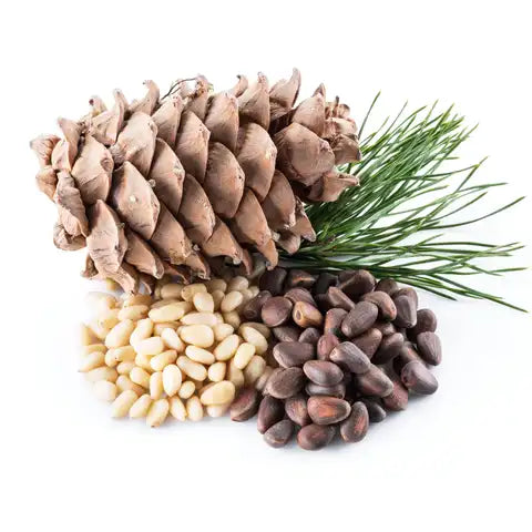 Підтримує шкіру, нервову систему й травлення, покращує кровообіг, регулює холестерин і забезпечує енергію.