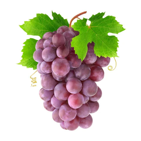 Потужний антиоксидант: захищає від УФ та радикалів, уповільнює старіння, стимулює регенерацію й дарує сяйво.